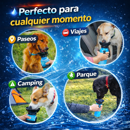 Hidrata a tu mascota en cualquier lugar
