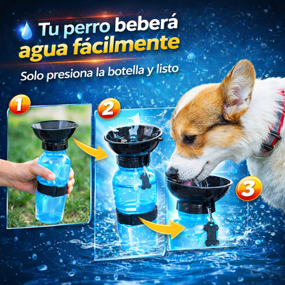 Hidrata a tu mascota en cualquier lugar