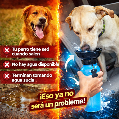 Hidrata a tu mascota en cualquier lugar