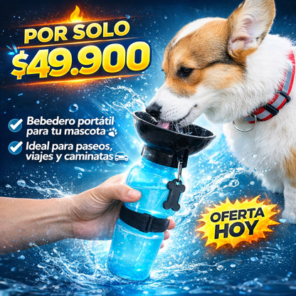 Hidrata a tu mascota en cualquier lugar